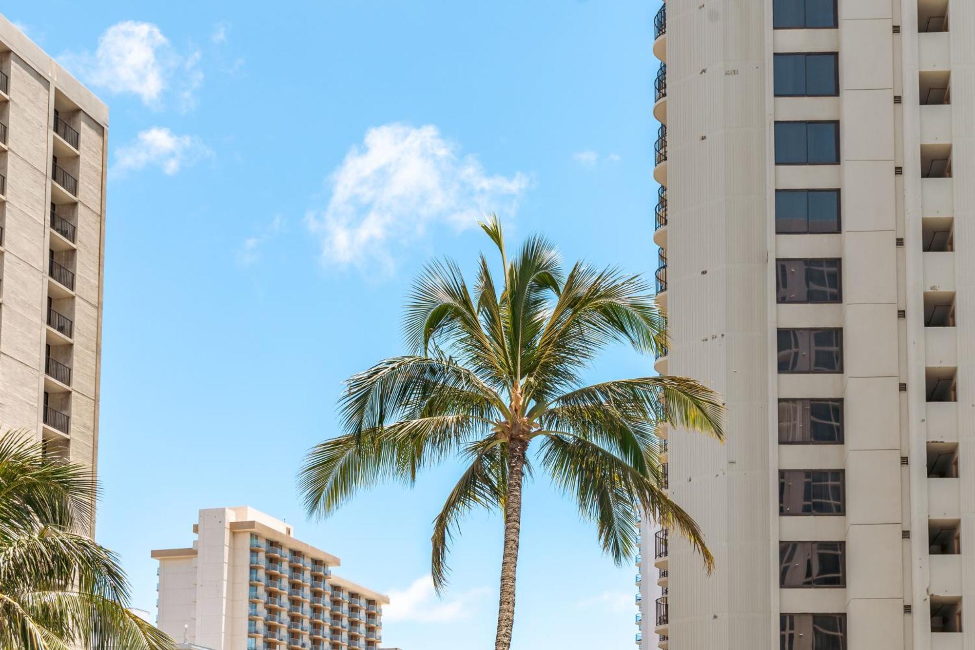 Ocean & Diamond Head Views - Near Beach - Parking! Honolulu Zewnętrze zdjęcie