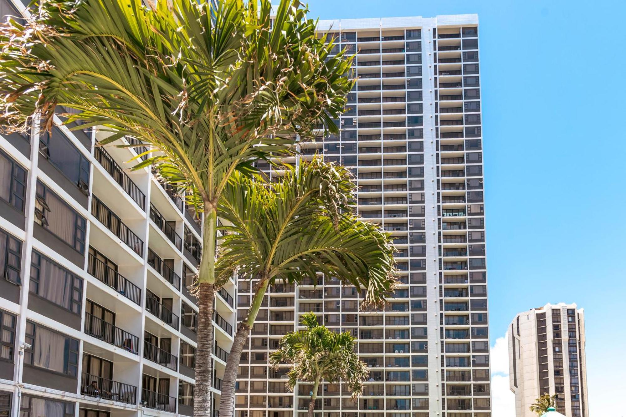 Ocean & Diamond Head Views - Near Beach - Parking! Honolulu Zewnętrze zdjęcie