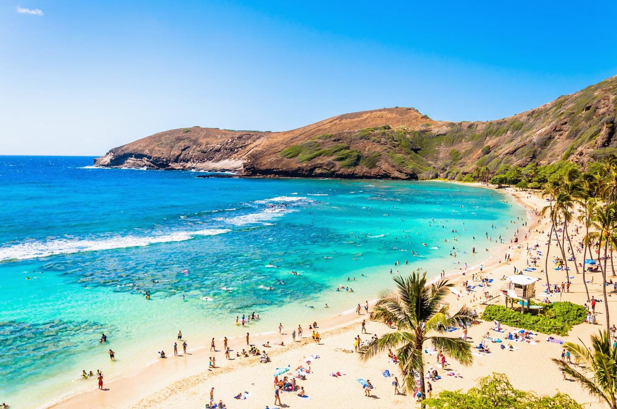 Ocean & Diamond Head Views - Near Beach - Parking! Honolulu Zewnętrze zdjęcie